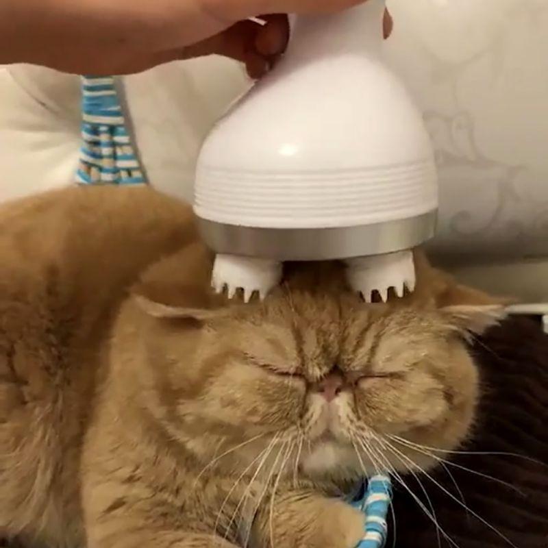 Cat Massager 3D Head Massager