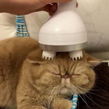 Cat Massager 3D Head Massager