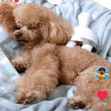 Cat Massager 3D Head Massager