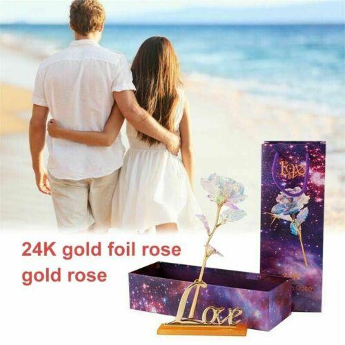 Magical Eternal Rose