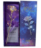 Magical Eternal Rose