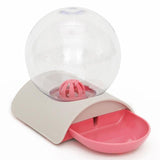 Cat Bowl Dog Water