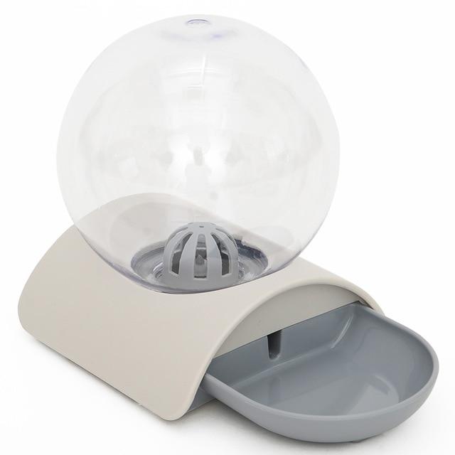 Cat Bowl Dog Water