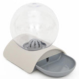 Cat Bowl Dog Water