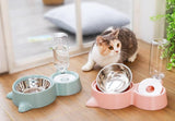 Cat Bowl Dog Water