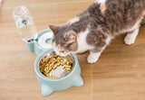 Cat Bowl Dog Water