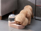 Cat Bowl Dog Water