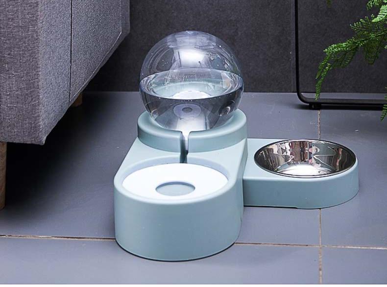 Cat Bowl Dog Water