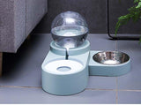 Cat Bowl Dog Water
