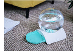 Cat Bowl Dog Water