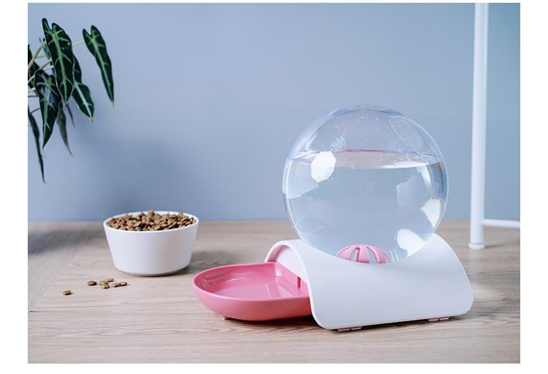 Cat Bowl Dog Water
