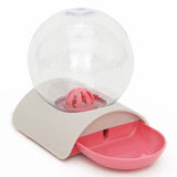 Cat Bowl Dog Water